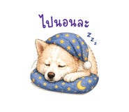 855864034