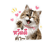 855864410
