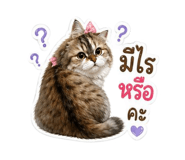 855864412