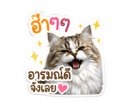855864423