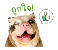 855864748