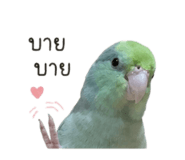 855865456