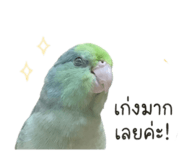 855865464