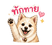 855865977