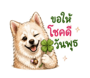 855865987
