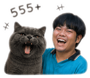 855866399