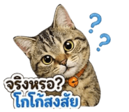 855867174