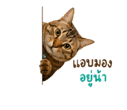 855867489