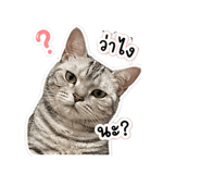 855867507