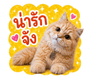 855868483