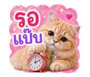 855868491