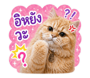 855868517