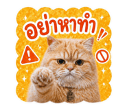 855868519