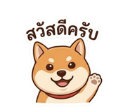 855869353