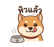 855869357