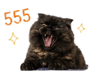 855869583