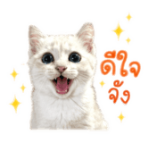 855870192