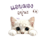 855870200
