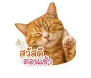 855870785