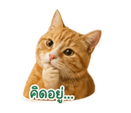 855870786