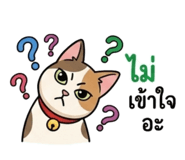 855871435
