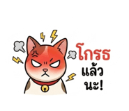 855871439