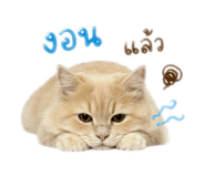 855872259