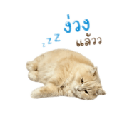 855872260