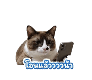 855872350