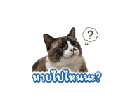 855872351