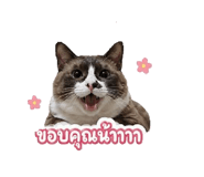 855872352