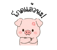 855872409