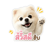 855873330