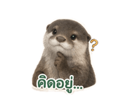 855873778
