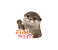 855873780