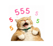 855874010