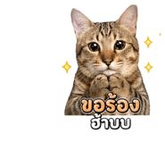855874077