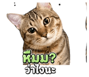 855874086