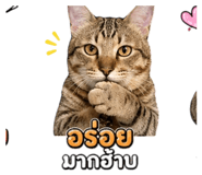 855874088