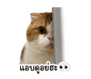 855874470