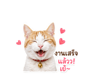 855874807