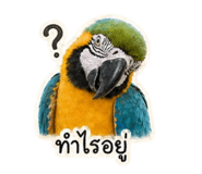 855874892