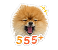 855875748