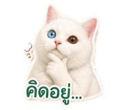 855876652