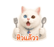 855876654
