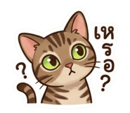 855878125