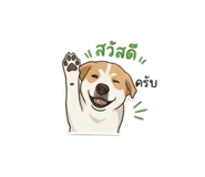 855878868