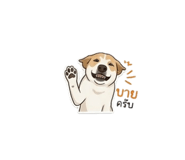 855878877