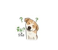 855878878