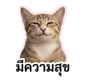 855878913